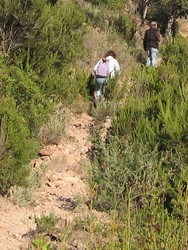 à feuilleter en ligne